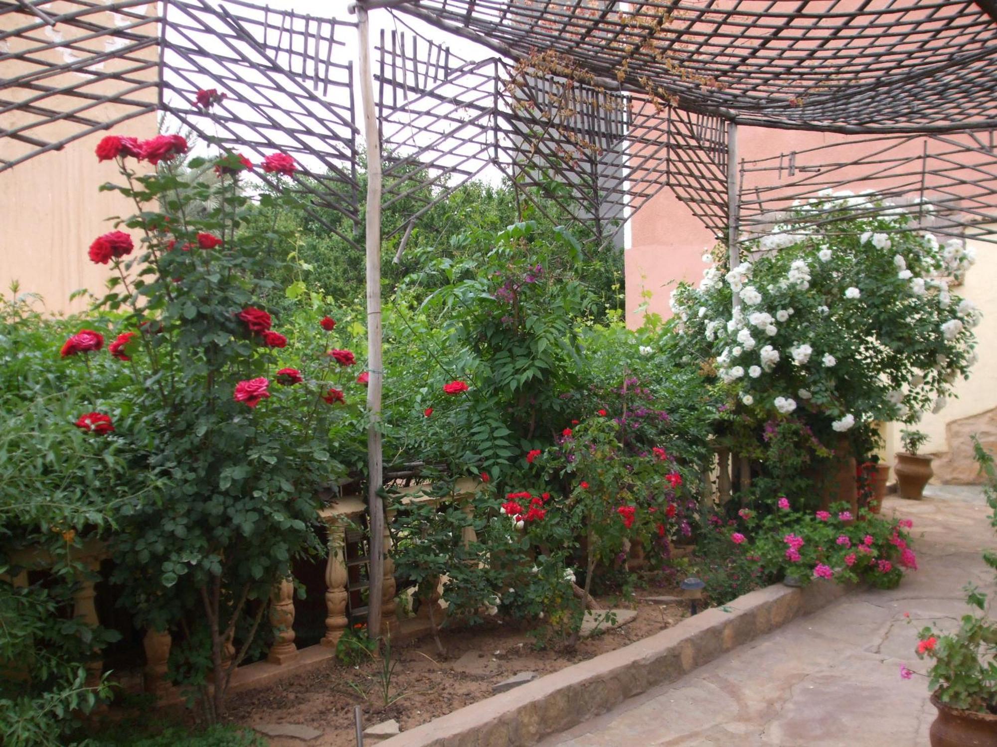Palmeraie Guest House Tinghir Bagian luar foto